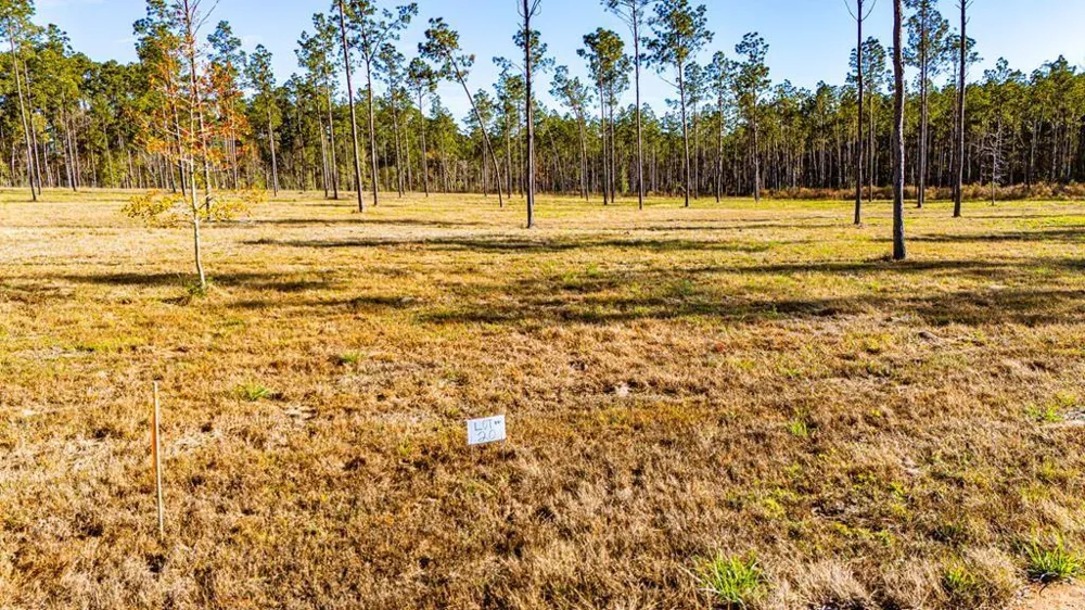 20 Big Buck Drive Moscow, TX 75960