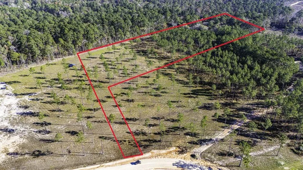 20 Big Buck Drive Moscow, TX 75960