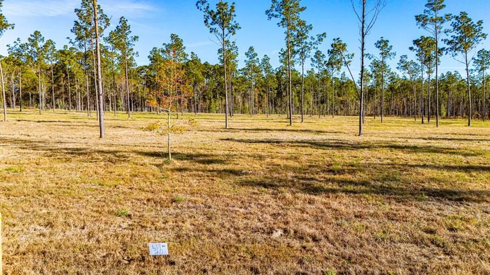 20 Big Buck Drive Moscow, TX 75960