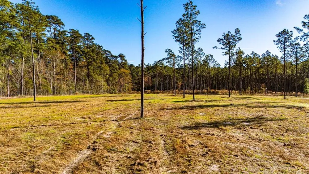 20 Big Buck Drive Moscow, TX 75960