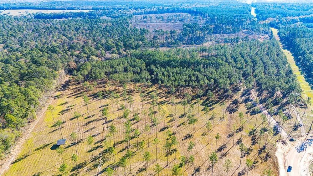20 Big Buck Drive Moscow, TX 75960