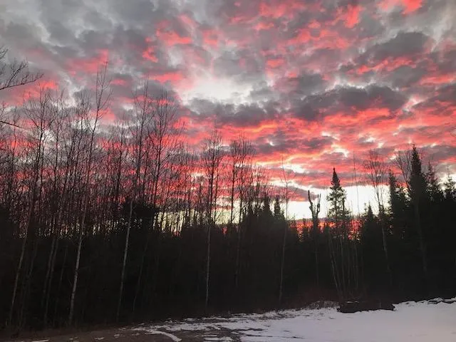 8225 Blaisdell Lake Road Winter, WI 54896