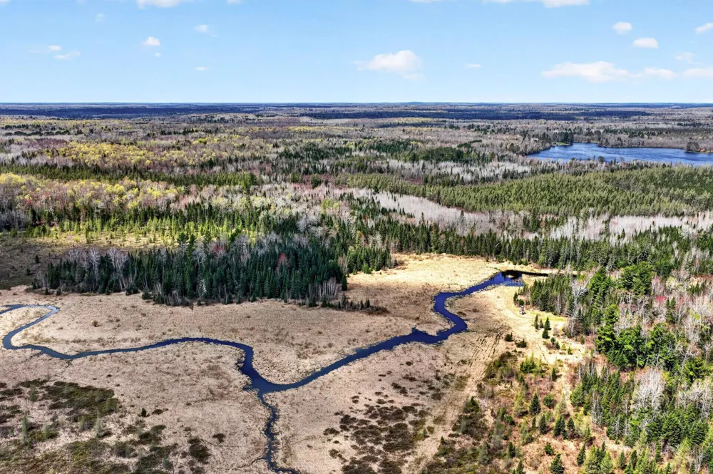 8225 Blaisdell Lake Road Winter, WI 54896