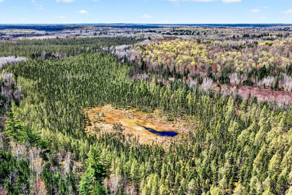 8225 Blaisdell Lake Road Winter, WI 54896