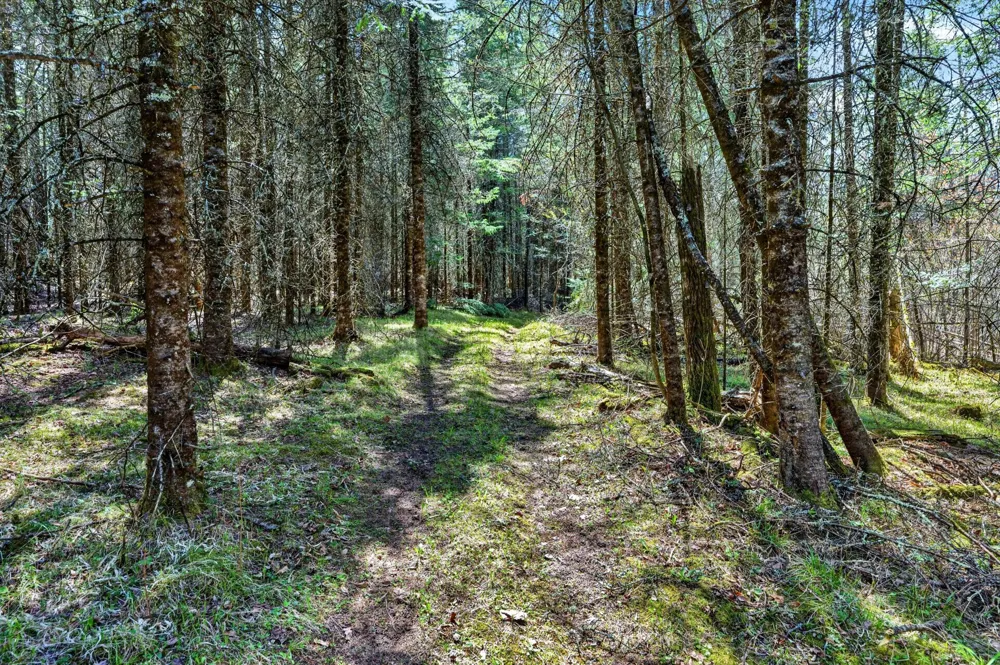 8225 Blaisdell Lake Road Winter, WI 54896