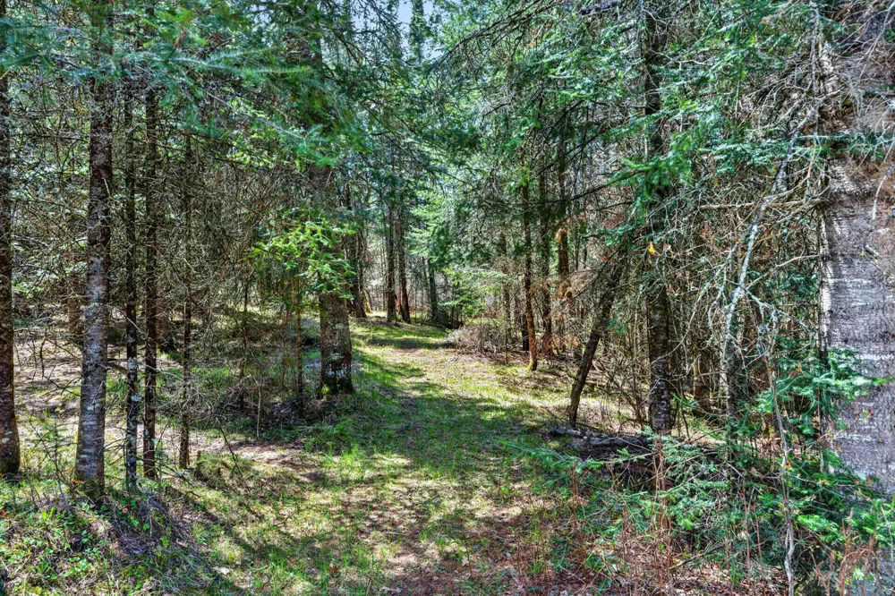 8225 Blaisdell Lake Road Winter, WI 54896