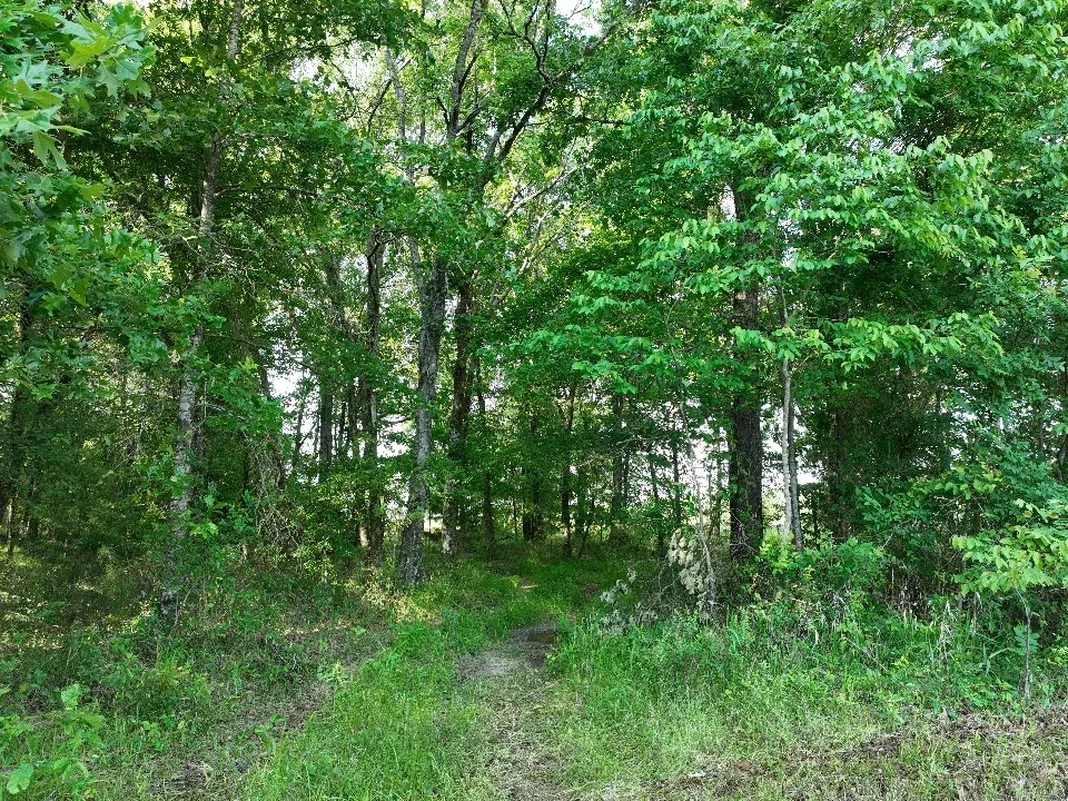 7453 Farm Road 412 Clarksville, TX 75426