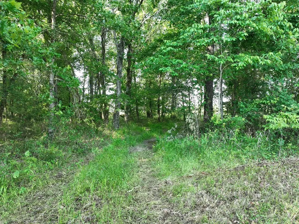 7453 Farm Road 412 Clarksville, TX 75426