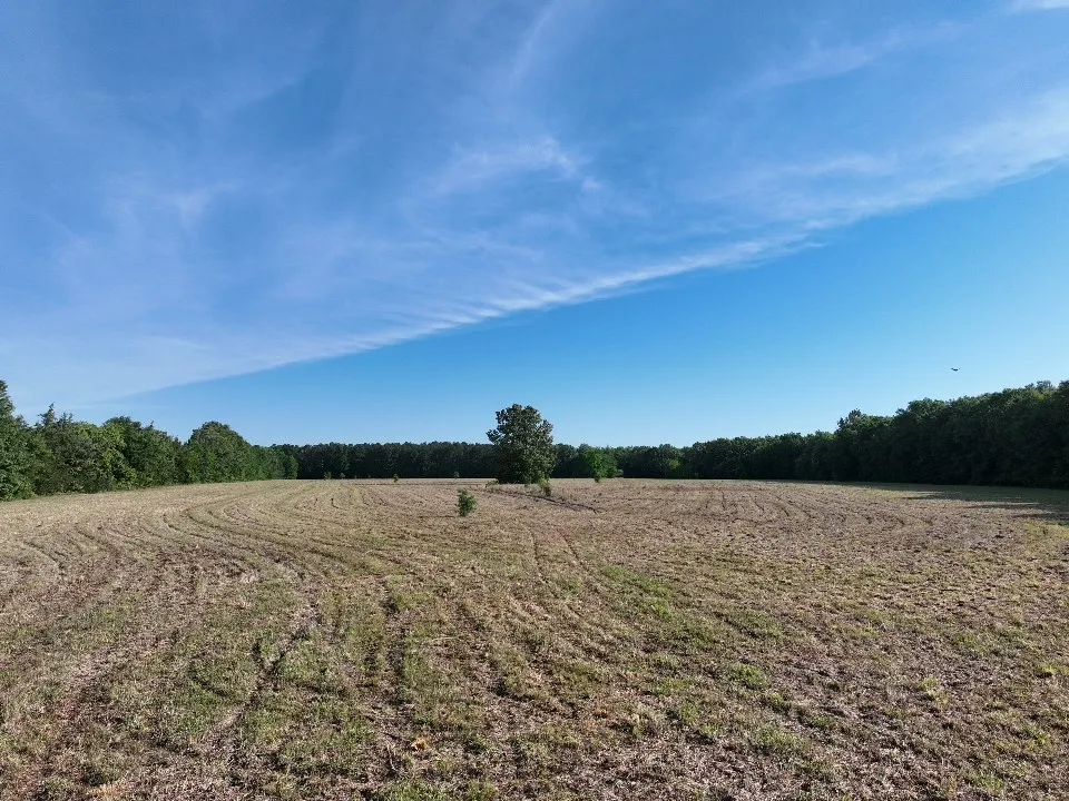 7453 Farm Road 412 Clarksville, TX 75426