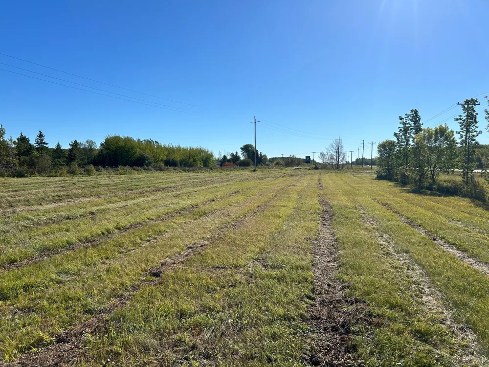 XXX State Hwy 11 Warroad, MN 56763