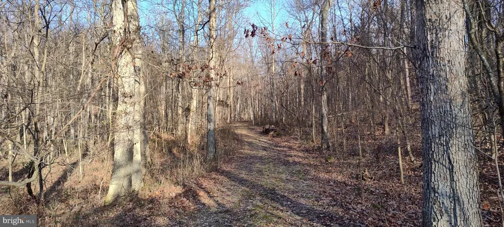 1339 SPRUCE HILL ROAD Port Royal, PA 17082
