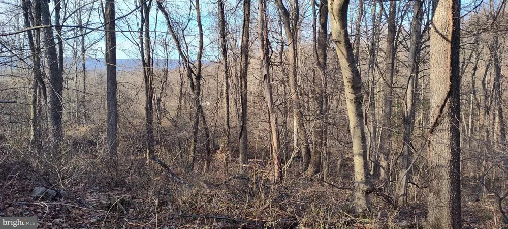 1339 SPRUCE HILL ROAD Port Royal, PA 17082