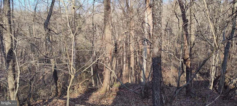 1339 SPRUCE HILL ROAD Port Royal, PA 17082
