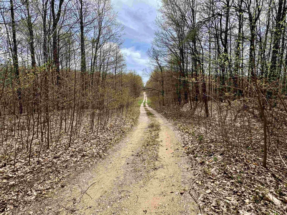Cherry Lane Colfax Township, MI 49618