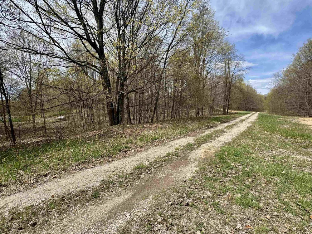 Cherry Lane Colfax Township, MI 49618