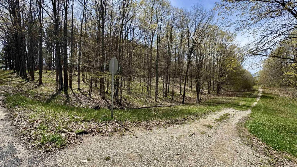Cherry Lane Colfax Township, MI 49618