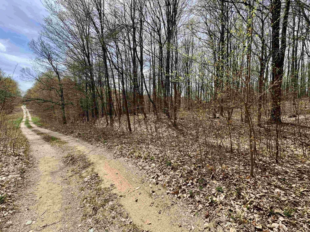 Cherry Lane Colfax Township, MI 49618