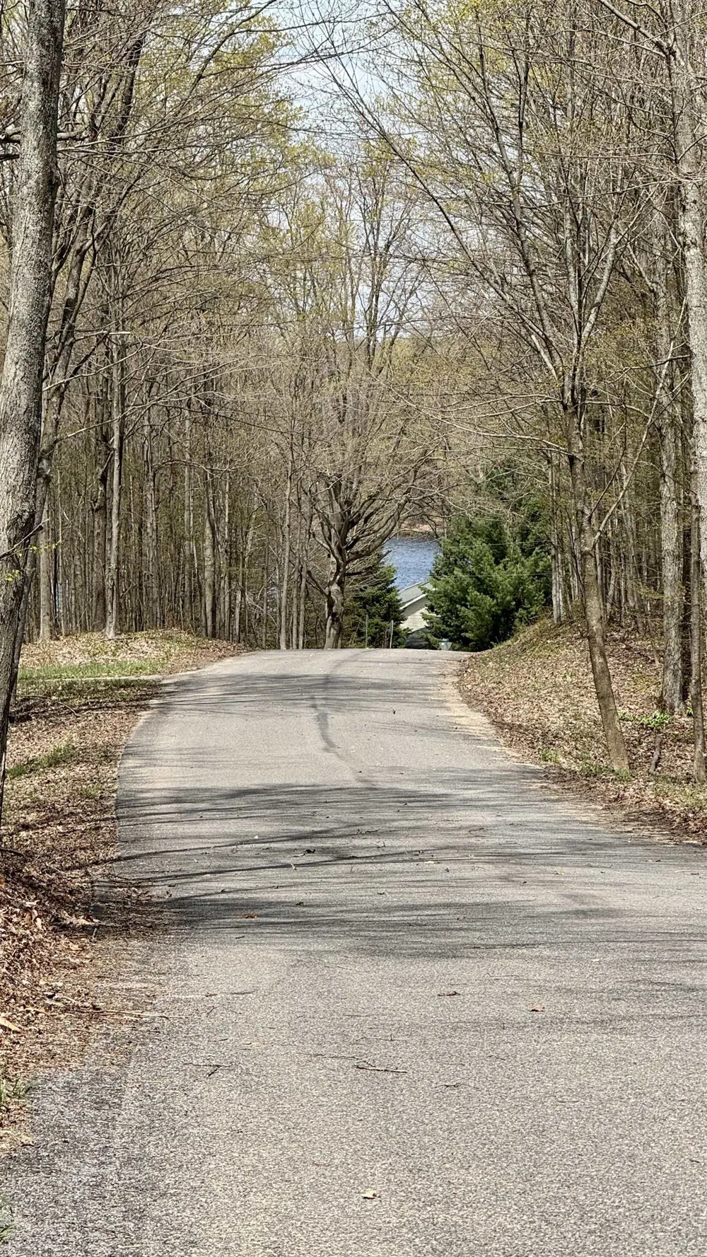 Cherry Lane Colfax Township, MI 49618