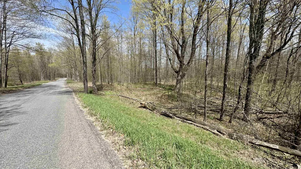 Cherry Lane Colfax Township, MI 49618