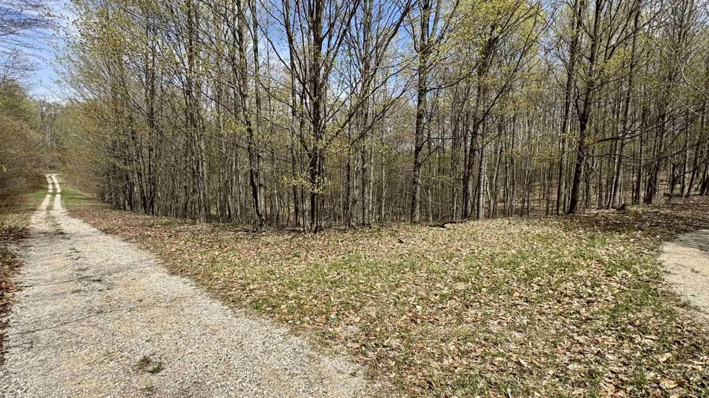 Cherry Lane Colfax Township, MI 49618