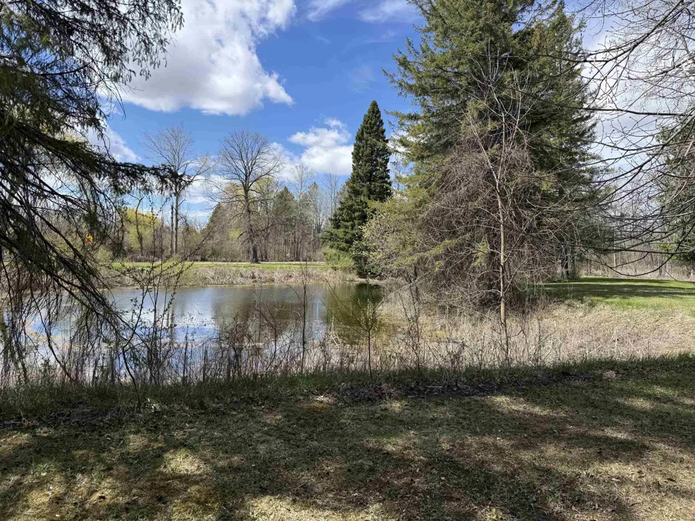 S M-65 Burleigh Township, MI 48765