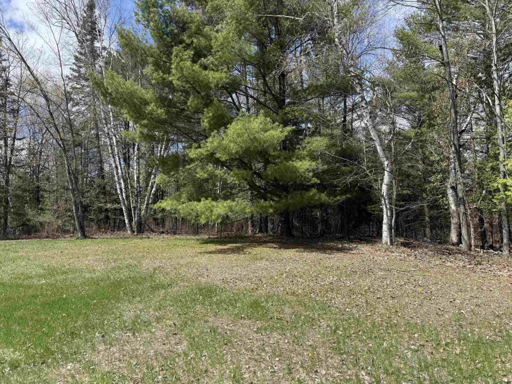 S M-65 Burleigh Township, MI 48765