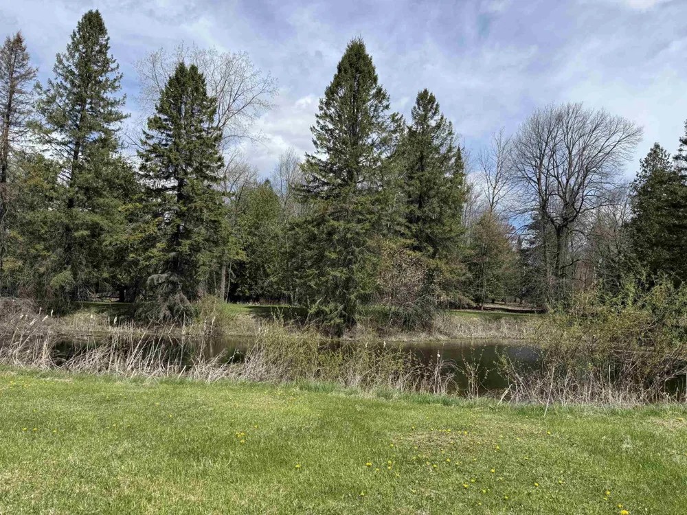 S M-65 Burleigh Township, MI 48765