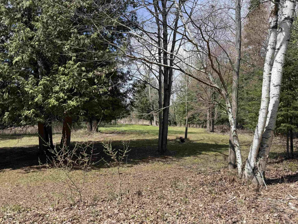 S M-65 Burleigh Township, MI 48765