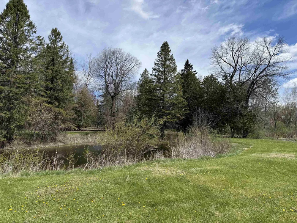 S M-65 Burleigh Township, MI 48765
