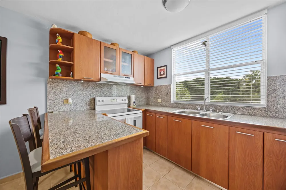 26 CALLE CAMBIJA #PH B-312 Rincon, PR 00677