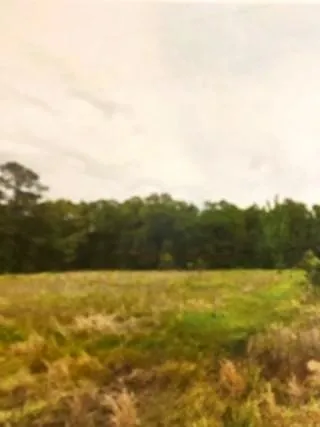 Whittington Cutoff Road Benton, LA 71006