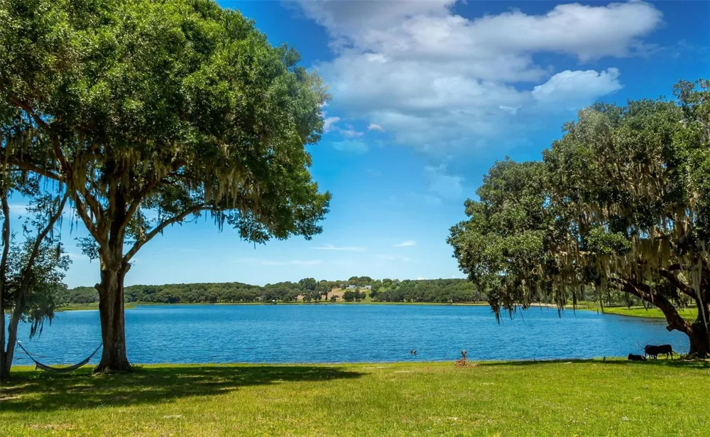 34710 CLAYTON ROAD #9 Dade City, FL 33523