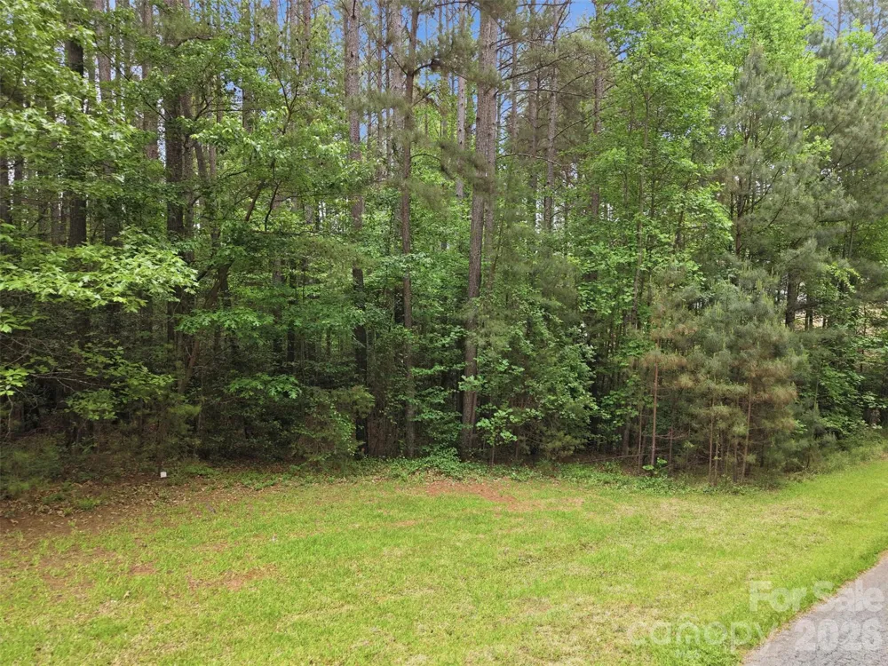 6020 Plantation Pointe Drive #91 Granite Falls, NC 28630