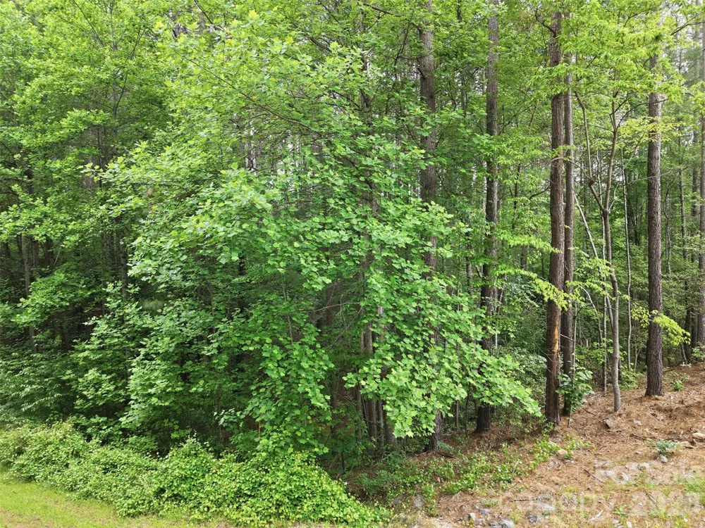 6020 Plantation Pointe Drive #91 Granite Falls, NC 28630