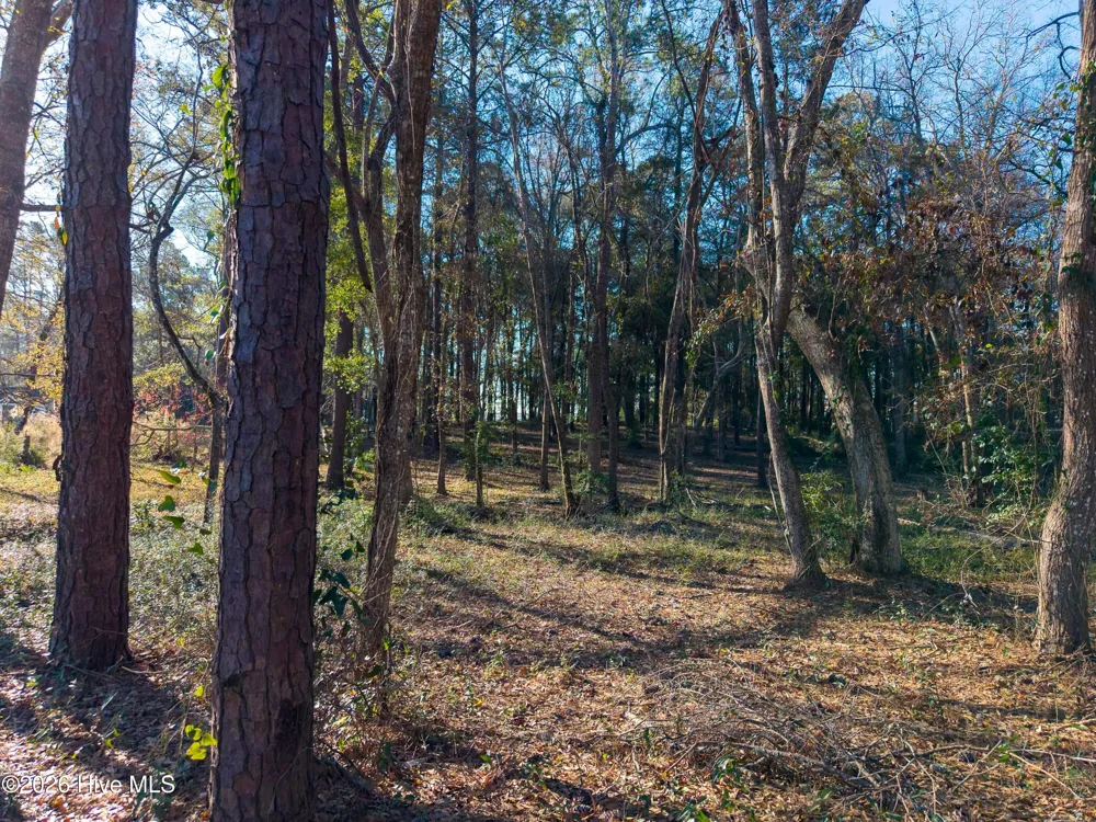 9017 Ocean Harbour Golf Club Drive SW Calabash, NC 28467