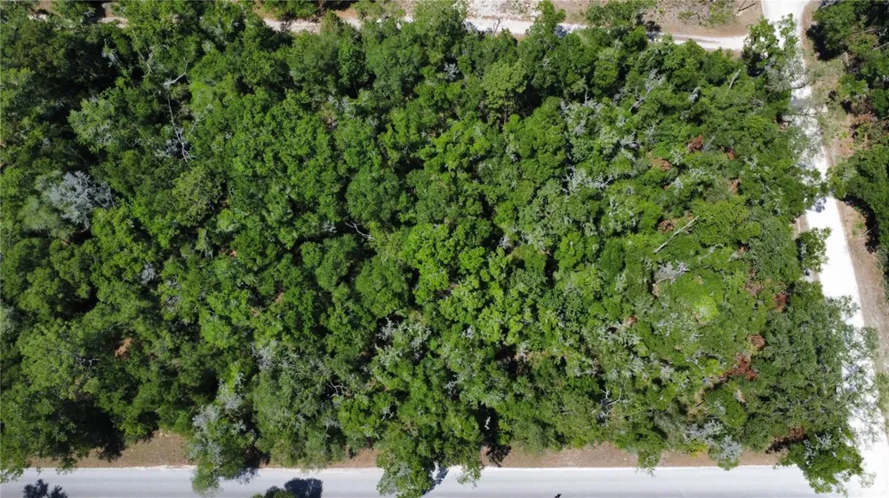 00 NE 7TH PLACE Williston, FL 32696