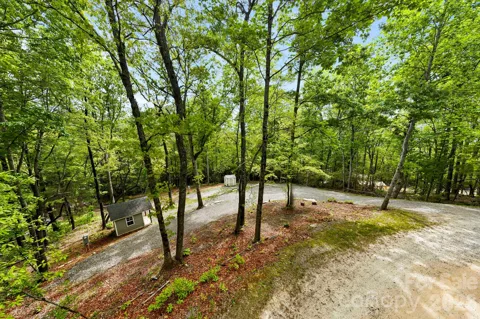 137 Bird Song Road #3