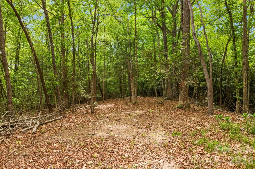 137 Bird Song Road #3 Penrose, NC 28766