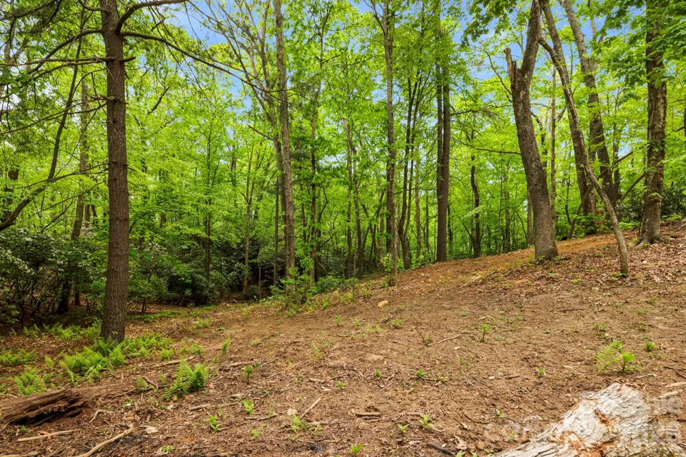 137 Bird Song Road #3 Penrose, NC 28766