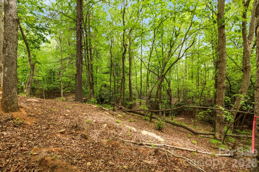 137 Bird Song Road #3 Penrose, NC 28766