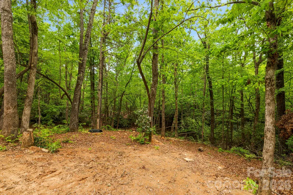 137 Bird Song Road #3 Penrose, NC 28766