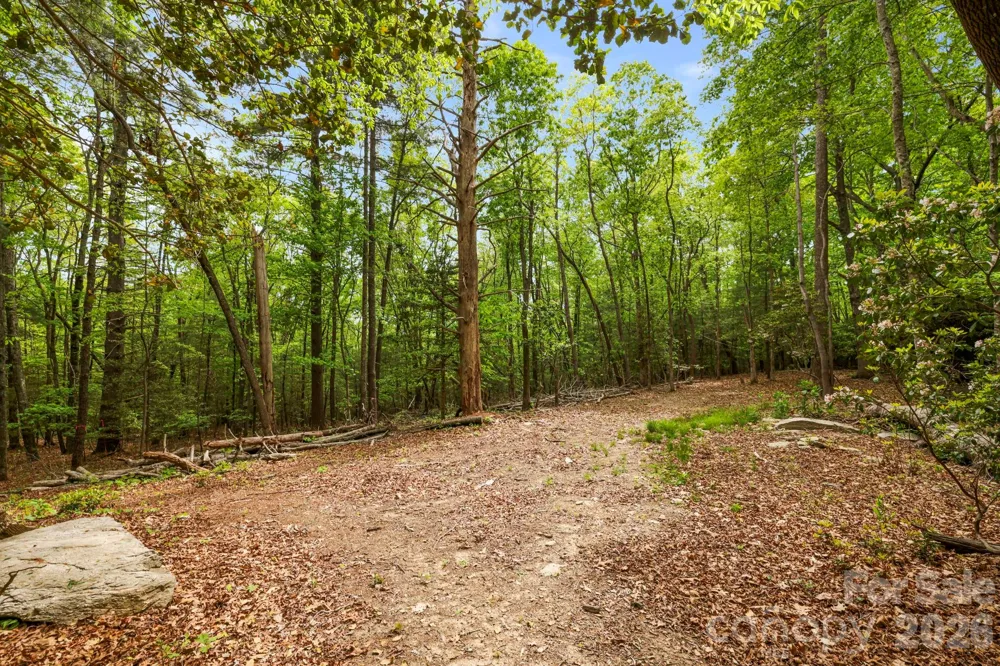 137 Bird Song Road #3 Penrose, NC 28766
