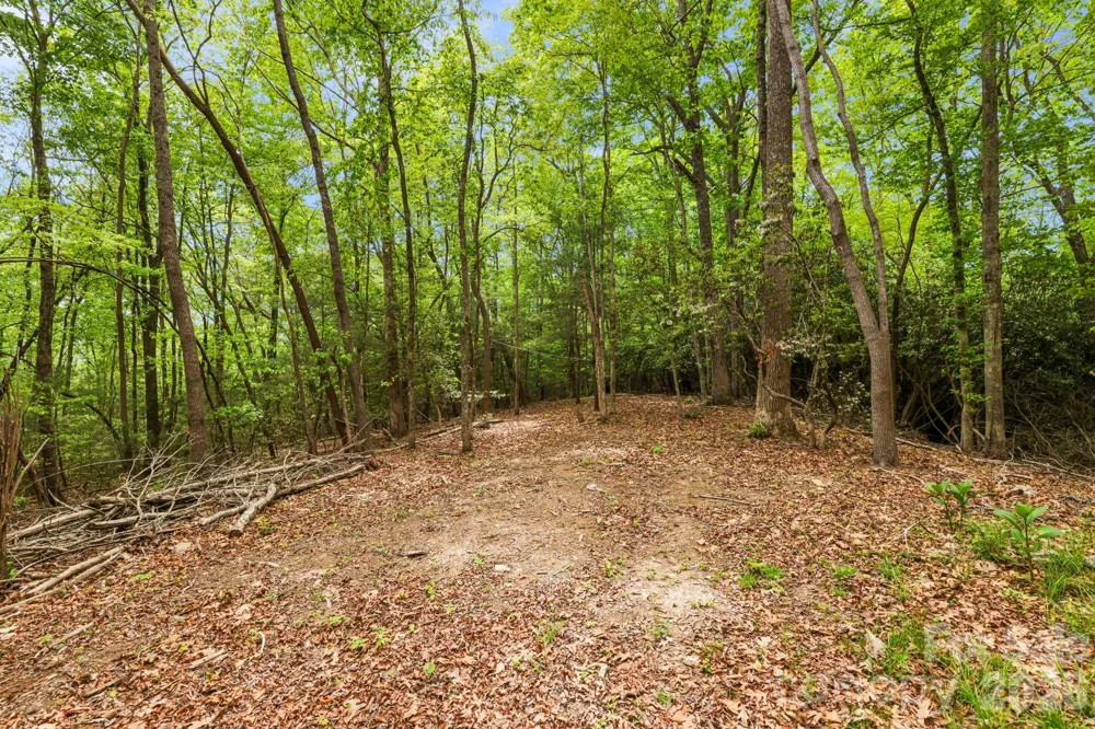 137 Bird Song Road #3 Penrose, NC 28766