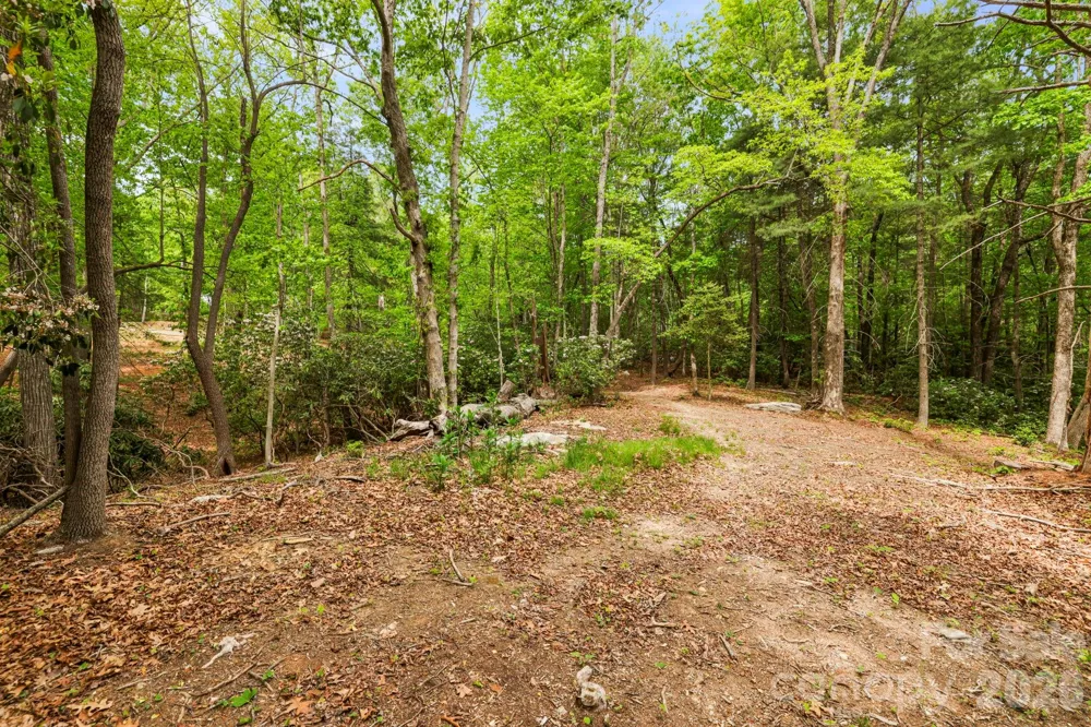137 Bird Song Road #3 Penrose, NC 28766