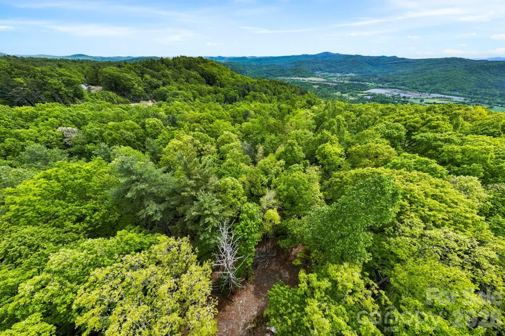 137 Bird Song Road #3 Penrose, NC 28766