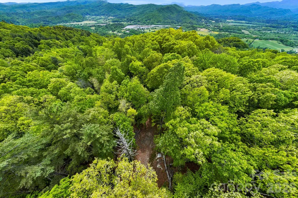 137 Bird Song Road #3 Penrose, NC 28766