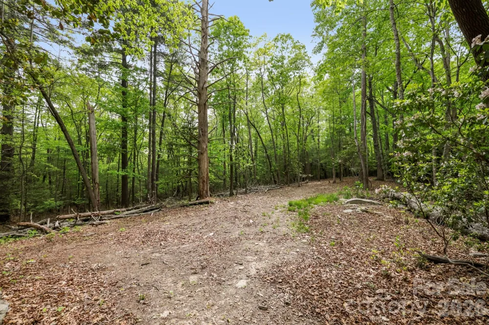 137 Bird Song Road #3 Penrose, NC 28766