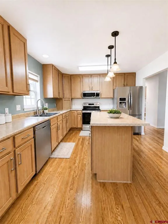 960 Willow Wood Lane Delta, CO 81416