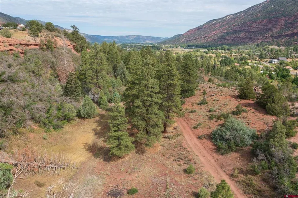 County Road 23 Ouray, CO 81432