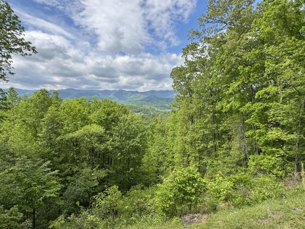 Trading Post Place Whittier, NC 28789